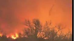 Texas Wildfires Scorch 300,000 Acres in Panhandle