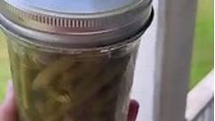 Beginners! If you are looking to pressure can something simple, green beans are your answer. Whether you grow them yourself or purchase in bulk, canned green beans are great to make. I love having my own canned green beans in my pantry. It’s a staple!!! Canning them is very simple and it’s just a few steps. 🚨 you need to have a pressure canner to preserve green beans. They are a low acid food and pressure canning is the only way to raise temps to kill off the botulism toxin that can grow in pre
