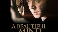 A Beautiful Mind | Celebrate Award Winning Films