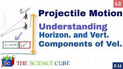 Projectile motion - vertical and horizontal velocity (two components) #3