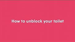 How to unblock your toilet