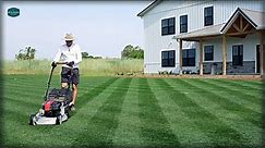 Do You Really NEED A REEL MOWER?? // Masport Rotarola Rear Roller Striping Lawn Mower