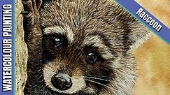 Raccoon in Watercolor with Paul Hopkinson