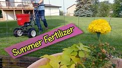 Fertilizer for Grass in Summer