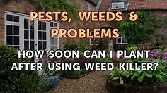 How Soon Can I Plant After Using Weed Killer?