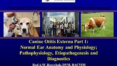 Canine Otitis Externa Part 1: Anatomy, Physiology, Pathophysiology and Diagnosis - Rod Rosychuk, DVM, DACVIM