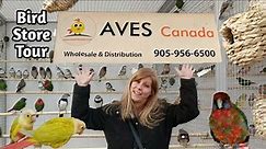 Bird Store Tour at Aves Canada | Hundreds of Birds | Canaries, Finches, Conures, Cockatiels, Bourkes