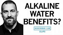 Is Alkaline Water Better for Hydration? | Dr. Andrew Huberman