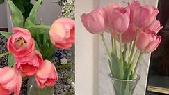 Make Your Tulips Stand Up Straight With This Super Easy Hack