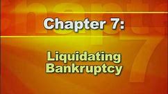 Bankruptcy Basics - Part 2: Types of Bankruptcy
