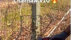 Craftsman Chainsaw V20 the BEST 🤔 #lawncare #subscribe #gogreen
