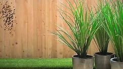 Add lemongrass to your outdoor... - Lowe's Home Improvement