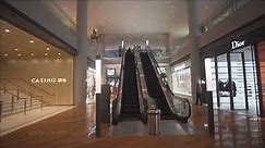 Singapore, walking around in Marina Bay Sands shopping mall, 16X escalator