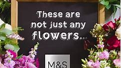 These are M&S Flowers