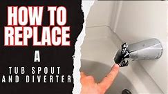 Shower Diverter Replacement - Save $$ Do It Yourself