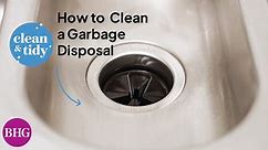 How to Clean a Garbage Disposal