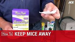 How To Keep Mice Away - Ace Hardware