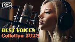Best Audiophile Voices 2023 - Hi-Res Music 32 Bit - Natural Beat Records