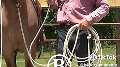 From the collection: How To Start a Rope Horse Day 2 https://b1horsemanship.com B1 Horsemanship is a one-of-a-kind company that prides itself on providing an extensive and authentic collection of instructional videos for individuals in the ranching and horse training industry, as well as casual horse owners. Our main focus is to give a detailed and up-close look at horse and stockmanship skills, showcasing the real, raw side of horse training and stock handling like never before. Led by Richard 