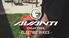 Avanti Montari Electric Bike