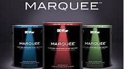 Behr Marquee Paint Reviews | The Blogging Painters