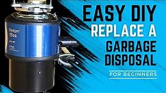 Replacing an InSinkErator Badger Garbage Disposal - Easy DIY for Beginners