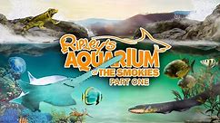 Zoo Tours: The Ripley's Aquarium of the Smokies | Part One