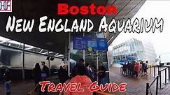Boston - New England Aquarium - Helpful Information for Visitors | Boston Travel Episode# 5