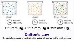 Dalton's Law and Partial Pressures