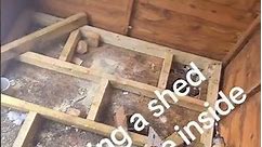 Replacing a shed floor and supporting base from inside