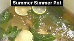 Williams Sonoma Summer Simmer Pot