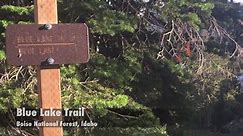 Blue Lake Trail, Boise National Forest