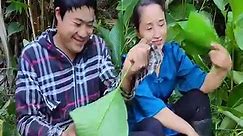 Get the dong leaves for sale. Touching a dangerous beehive, lucky to have an honest guy by his side