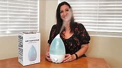 How To Use A Humidifier In A Room, Bedroom and for Plants