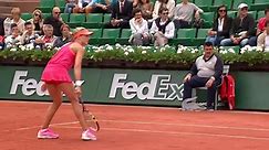 2014 French Open Shots of Day 10