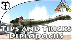 Fast Diplodocus Taming Guide :: Ark : Survival Evolved Tips and Tricks
