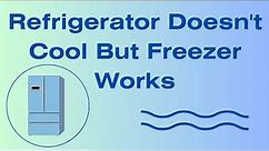 Refrigerator Doesn't Cool But Freezer Works