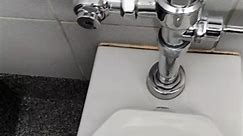 Zurn toilet Costco Fast, efficient, strong, long #cleancontent #flush #toilet #FlushingToiletz #asmr