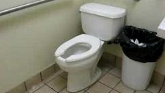 Kohler pressure assisted toilet