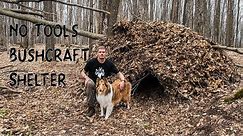 Building a Bushcraft Shelter WITHOUT TOOLS and Sleeping in it