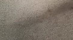 Real time using HTP Surface Prep DeGlosser to clean carpet #allinonepaint #carpetcleaning #carpetcleaningstains # #carpetcleaner #autodetailing