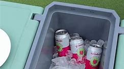 Trend.HUB - High Quality 2 in 1 Cooler, perfect for...