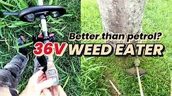 Makita 36V Weed Eater ... wacking weeds