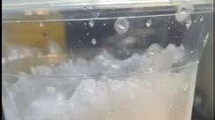 Easiest ice cooler this summer #shortvideo #shorts #fypシ #fyp