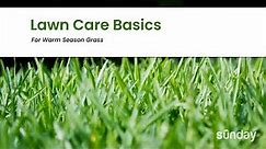 Sunday Webinar: Lawn Care Basics for Warm-Season Lawns