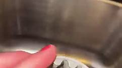 How often do you clean your dishwasher 🧼 #clean #CleanTok #cleaninghacks #cleaning #fyp #foryou #KitchenHacks #kitchenrenovation #fbreels #reelsviral #reelsvideo #reels #fyp #foryou #foryoupage #asmr | Ricardo Boyd