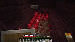 How to get Nether Warts - Minecraft