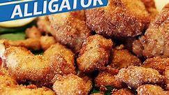 Deep-Fried Alligator | Dining on a Dime
