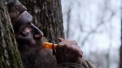 Timber Duck Hunt with the Duck Commander Phil Robertson
