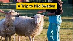 A trip to Sweden – Mid-Sweden
